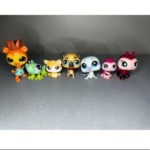 lps lot